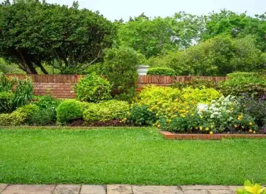 landscaping services Presidential Lakes Estates